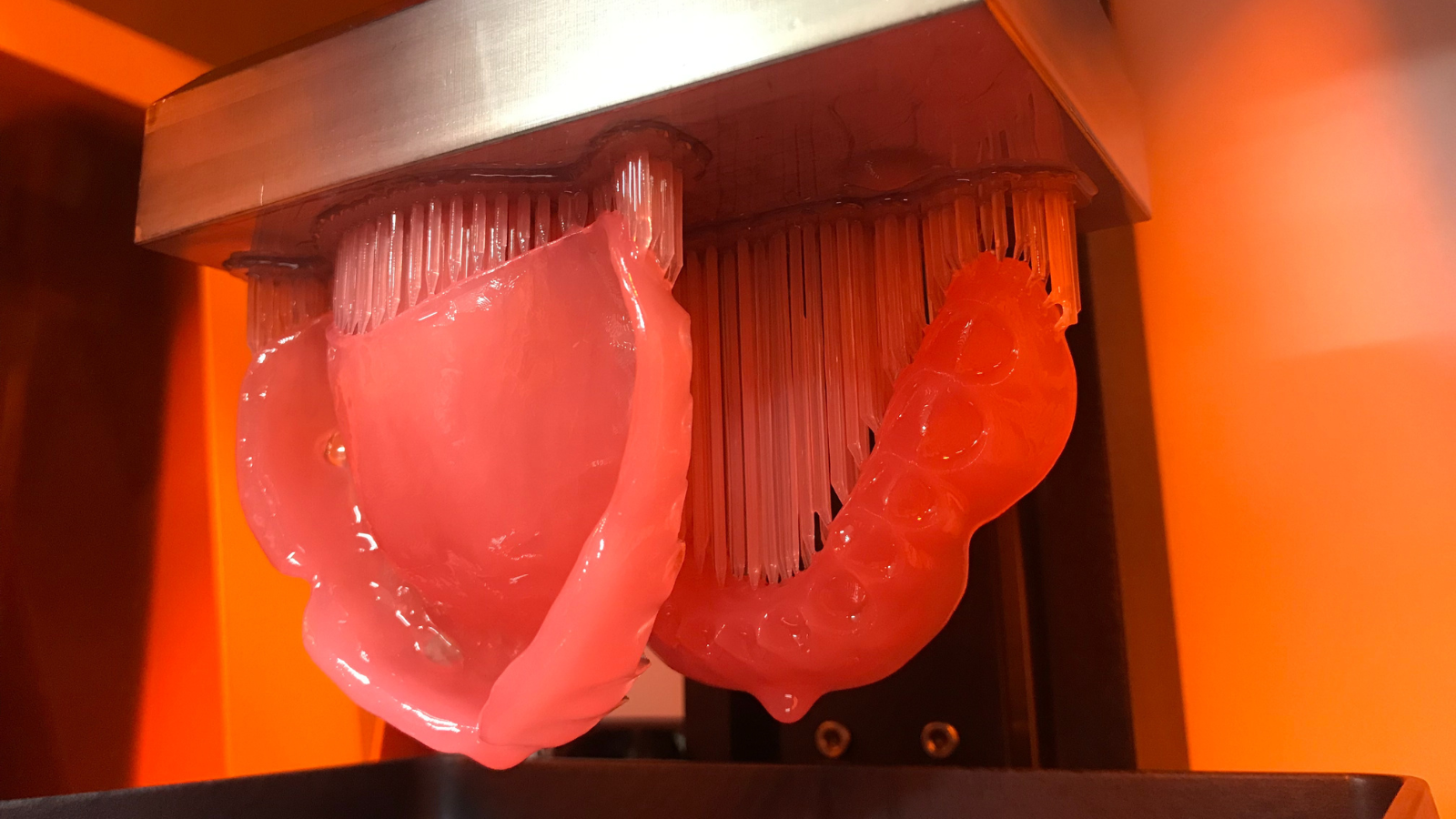 dima Print Digital Denture – Resin for 3D printed dentures