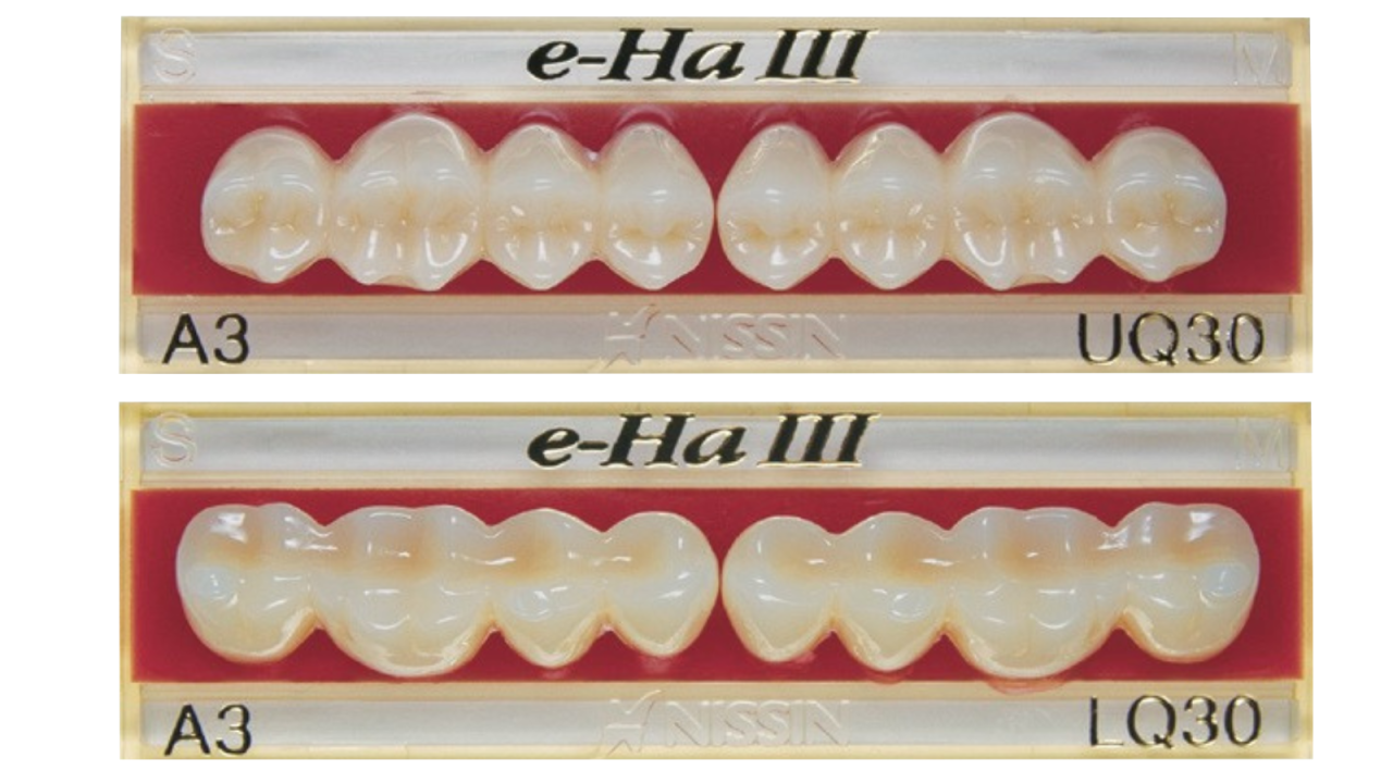 treha様3 イーハ Ⅲ